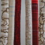Forest of Columns