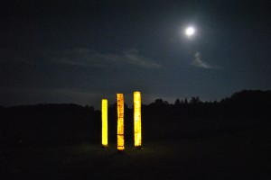 Forest of Light Columns; INSTALLATION shots