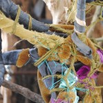DSC_0972 (1)